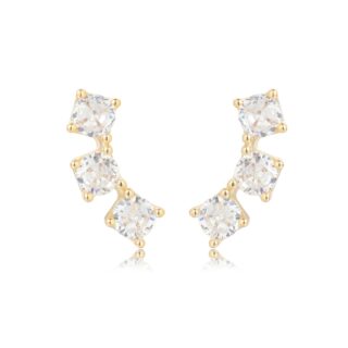 עגיל מטפס בשיבוץ אבנים